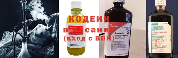 шишки Володарск